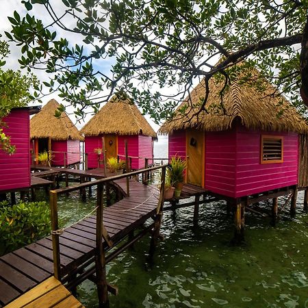 Urraca Monkey Island Eco Resort (Adults Only) Punta Laurel 외부 사진