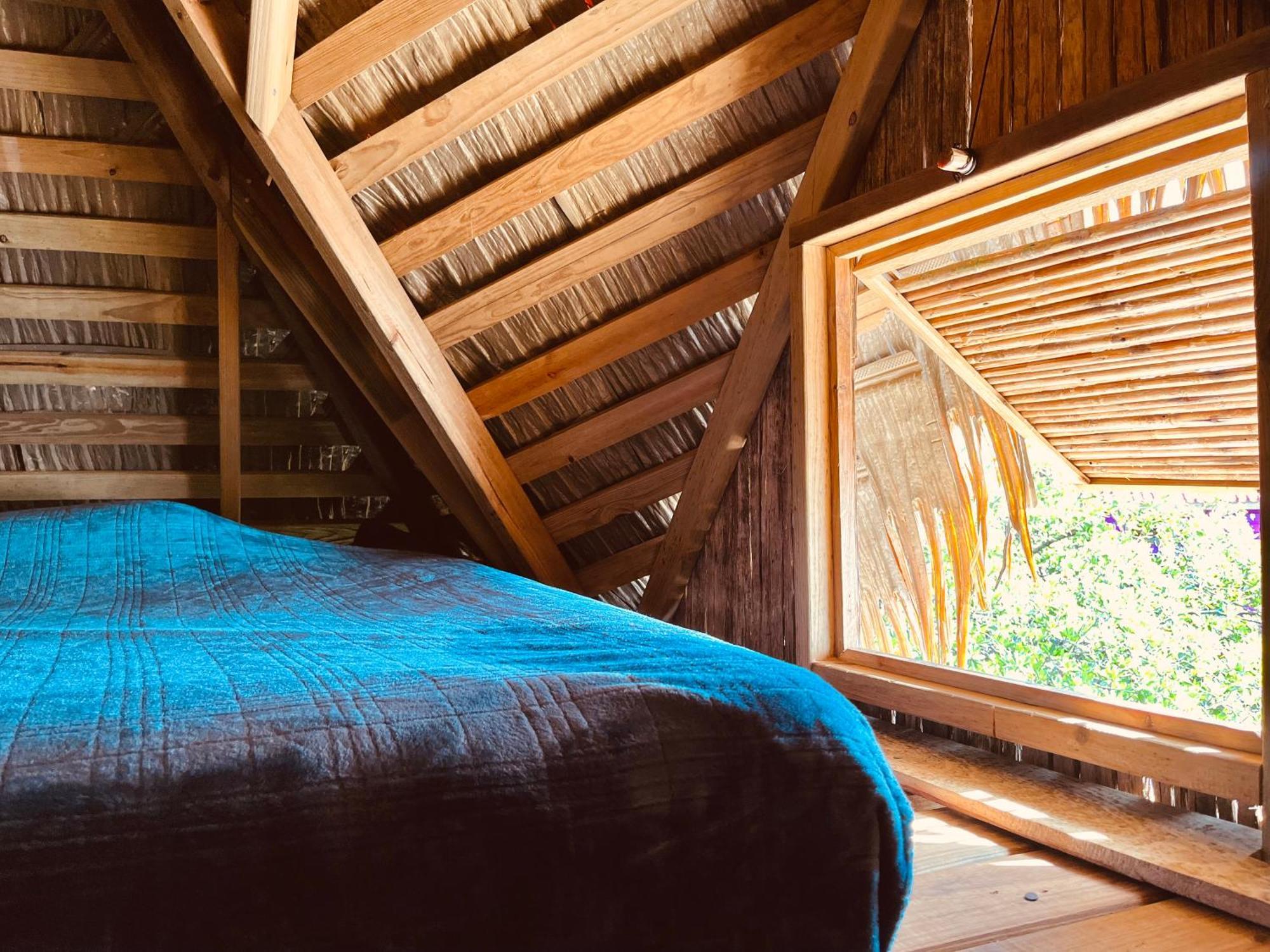 Urraca Monkey Island Eco Resort (Adults Only) Punta Laurel 객실 사진