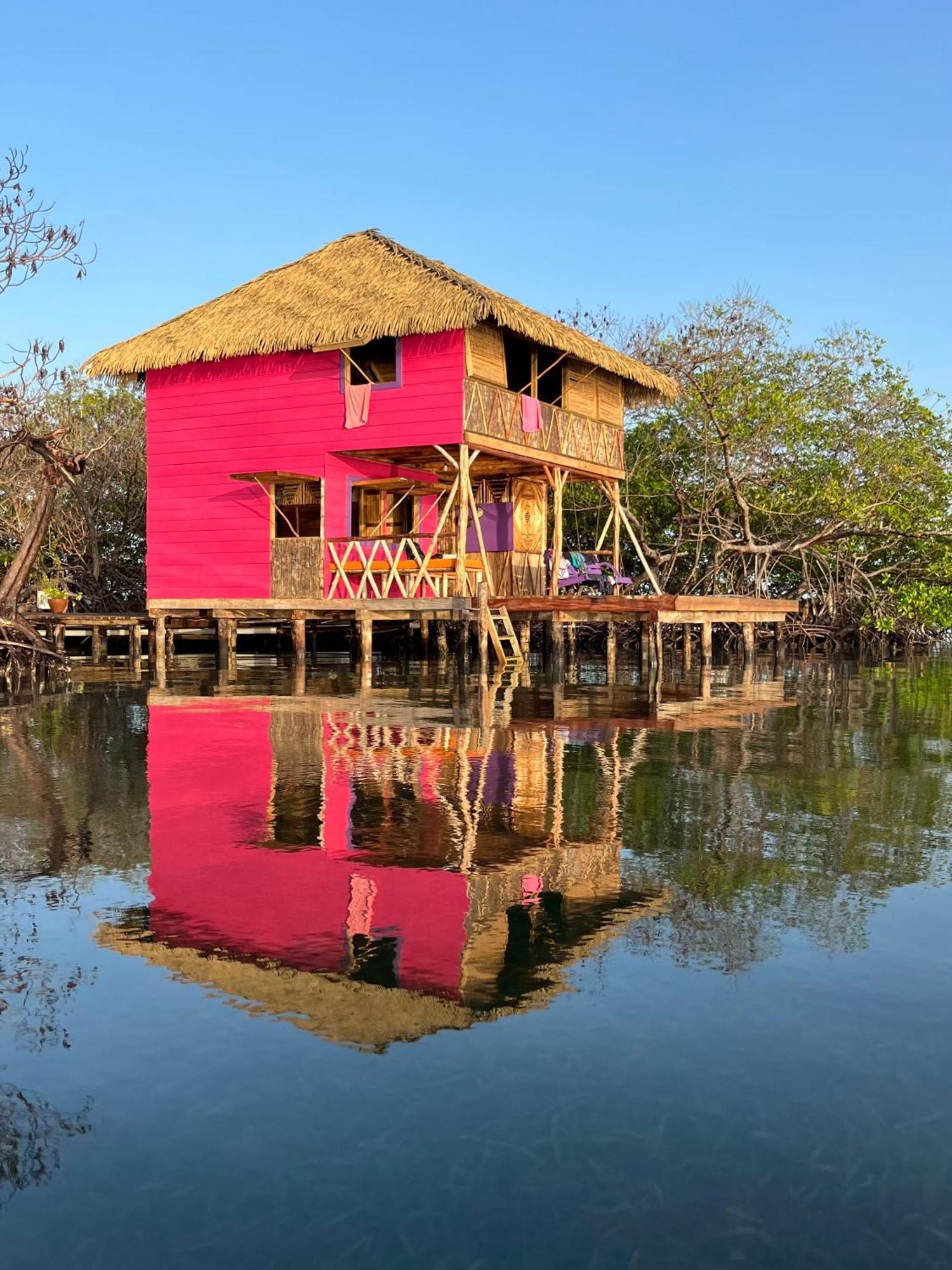 Urraca Monkey Island Eco Resort (Adults Only) Punta Laurel 객실 사진