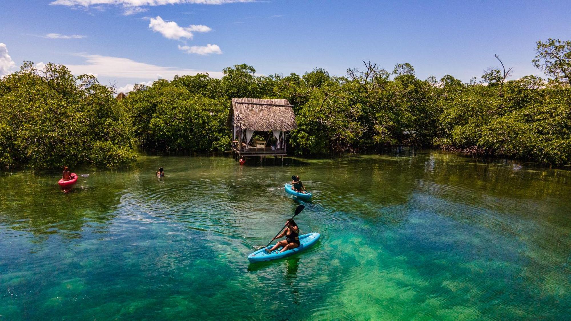 Urraca Monkey Island Eco Resort (Adults Only) Punta Laurel 외부 사진